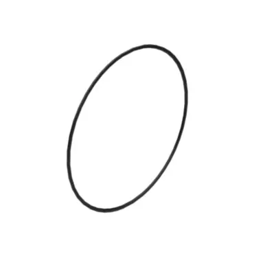 Кольцо дистанционное (CA2663675).