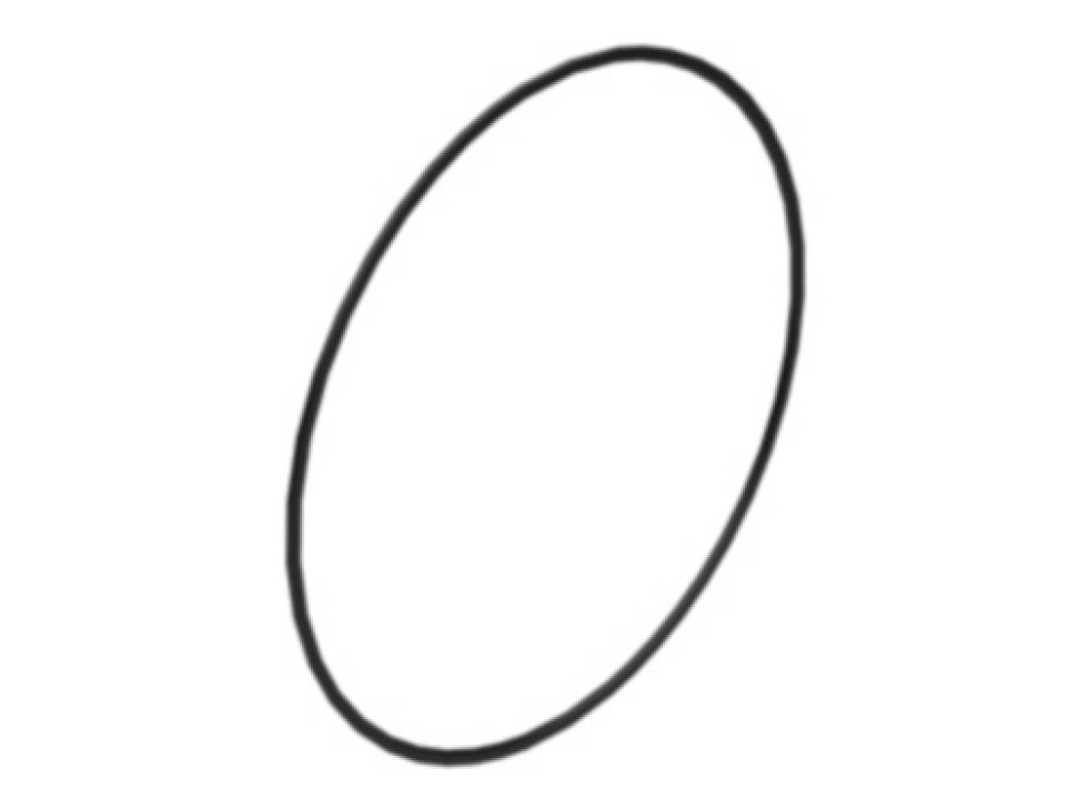 Кольцо дистанционное (CA2663675).