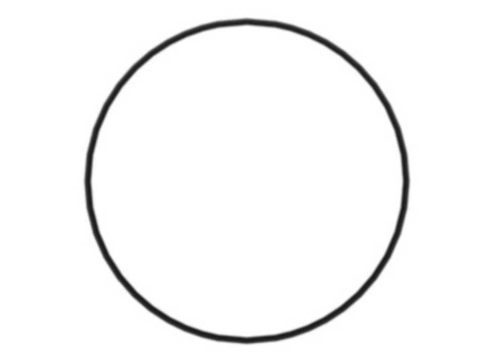 Кольцо дистанционное (CA2663675).