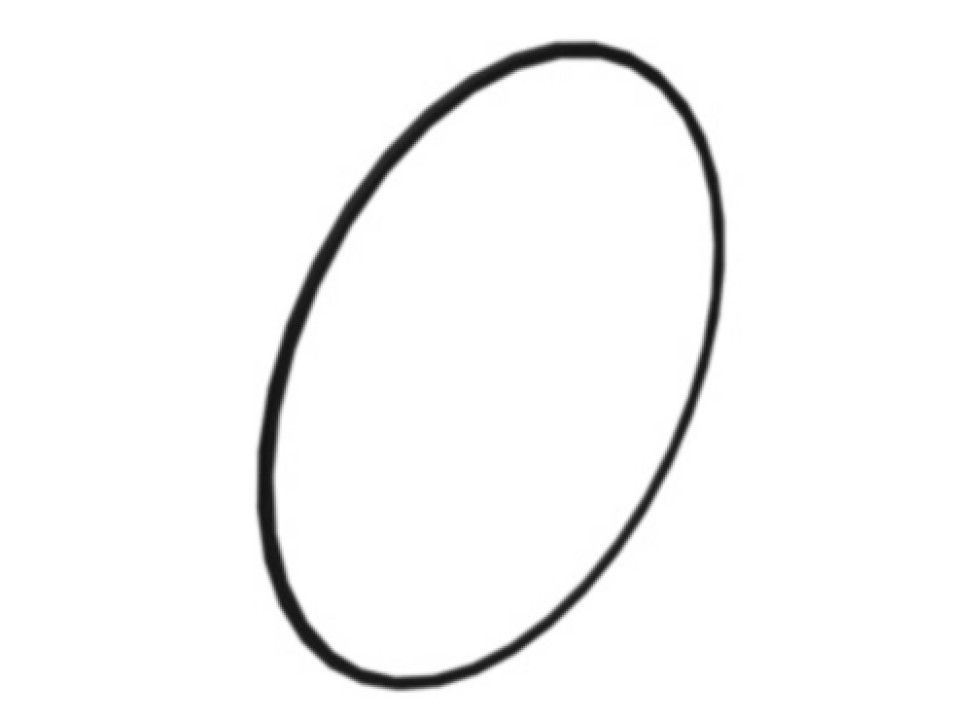 Кольцо дистанционное (CA2664193).