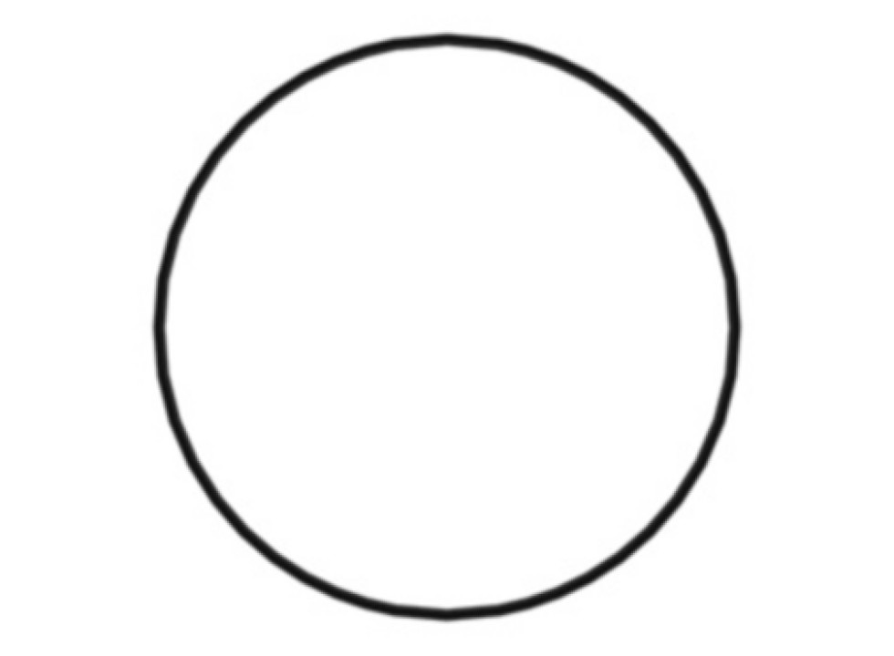 Кольцевое уплотнение (CA3503698).